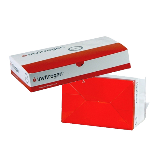 Tuck Top Auto Bottom